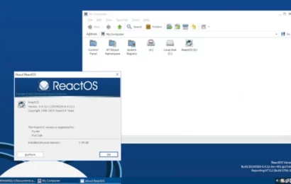 ReactOS na UEFI, Wayland v elementary OS