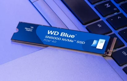 Nové levné SSD na trhu: WD Blue SN5000 má kapacitu 4 TB s horší pamětí QLC. Ale v nižších je pořád TLC