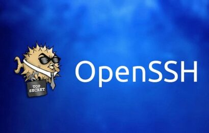 OpenSSH má vlastní obranu proti hádání hesel. Jak přesně funguje?