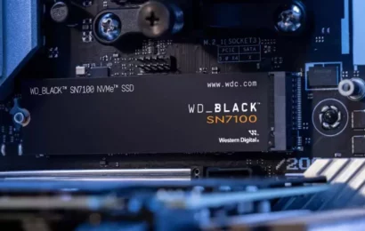 Nové mainstreamové SSD od WD dohnalo highendového Blacka, už používá PCIe 4.0 naplno